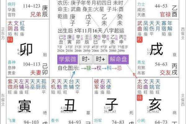 2025年3月21日丑时男命紫微斗数全解盘