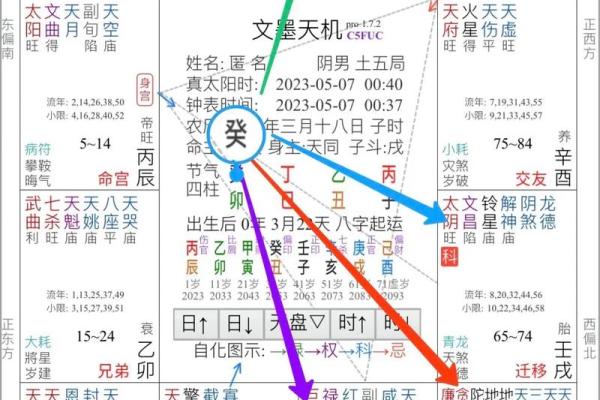 2025年2月19日卯时男命紫微斗数全解盘