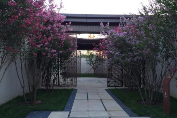 独杆紫薇庭院景观中的优雅之选 独杆紫薇庭院景观中的优雅之选