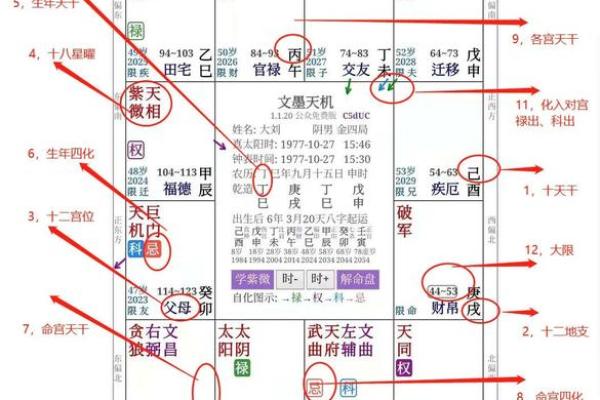 2025年3月4日子时男命紫微斗数全解盘