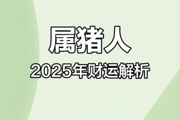 2007年属猪人2025年运势详解财运事业感情全解析 2007年属猪人2025年运势详解财运事业感情全解析
