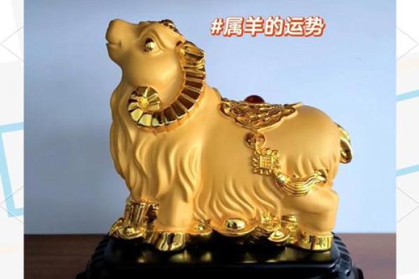 1979年属羊人2024年运势及运程_1979年属羊人2024年运势详解运程走向与吉凶预测 1979年属羊人2024年运势及运程_1979年属羊人2024年运势详解运程走向与吉凶预测