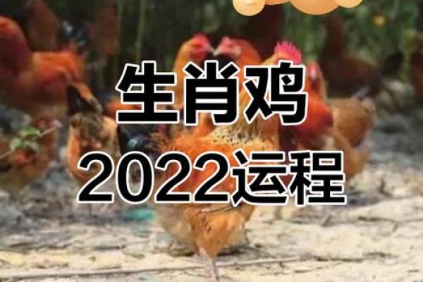 2005年属鸡在2025年运势_2005年鸡在2022年运势
