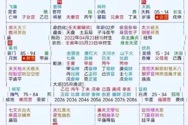 2025年3月23日子时男命紫微斗数全解盘