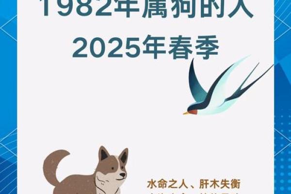 2006年狗五行属什么命 2006年狗五行缺啥