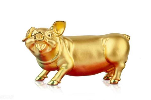 属猪2025的特大贵人_2025年属猪人的三大贵人运势飙升的关键助力 属猪2025的特大贵人_2025年属猪人的三大贵人运势飙升的关键助力