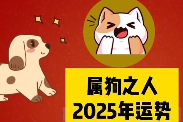 2025年属狗的几岁 82年出生的狗2025年的运势