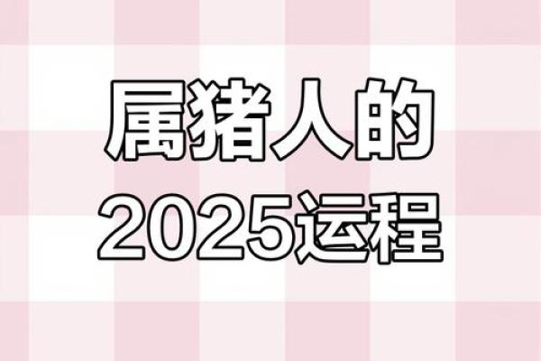 2025年属猪人年龄详解今年你多大 2025年属猪人年龄详解今年你多大
