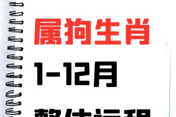 2025年狗年运势及运程1982_属狗2025年运势如何