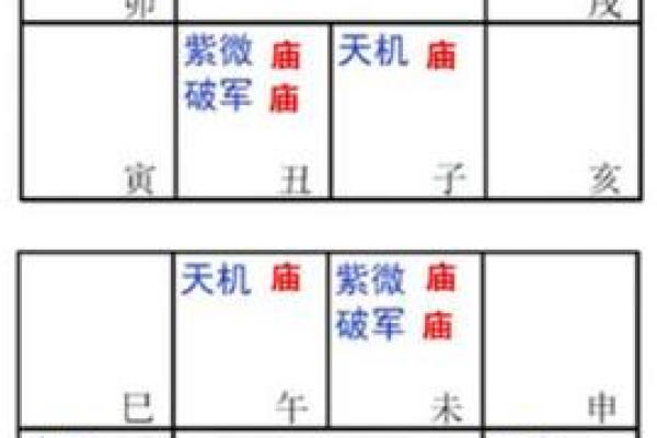 2025年3月2日卯时男命紫微斗数全解盘 2025年3月2日卯时男命紫微斗数全解盘