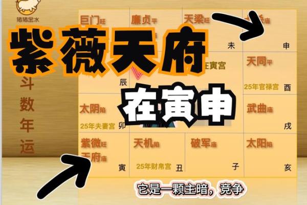 2025年3月20日丑时男命紫微斗数全解盘 2025年3月20日丑时男命紫微斗数全解盘