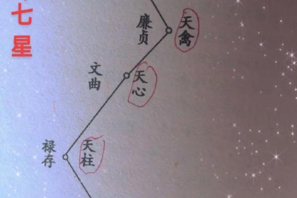 福德宫紫微贪狼星 福德宫紫微贪狼星解析命理运势与人生指引
