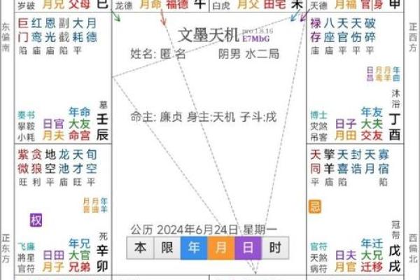 2025年3月3日子时男命紫微斗数全解盘 2025年3月3日子时男命紫微斗数全解盘