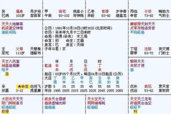 2025年3月3日子时男命紫微斗数全解盘 2025年3月3日子时男命紫微斗数全解盘