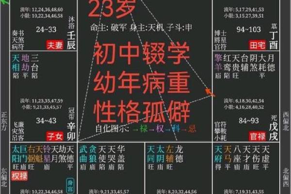 2025年3月7日子时女命紫微斗数全解盘 2025年3月7日子时女命紫微斗数全解盘