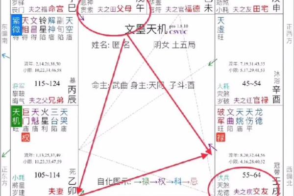 2025年3月3日寅时女命紫微斗数全解盘 2025年3月3日寅时女命紫微斗数全解盘