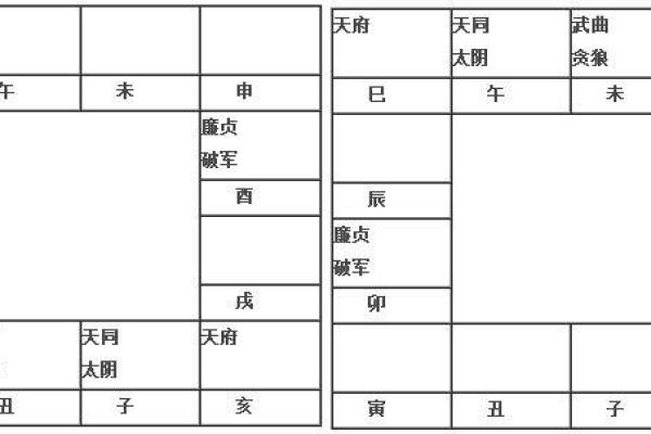 2025年2月24日丑时男命紫微斗数全解盘 2025年2月24日丑时男命紫微斗数全解盘