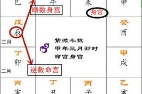 2025年2月19日丑时女命紫微斗数全解盘 2025年2月19日丑时女命紫微斗数全解盘