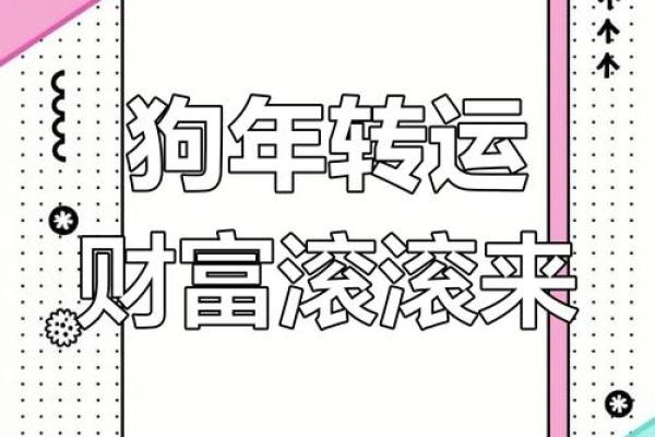 2025生肖狗_2025生肖狗运势运程详解