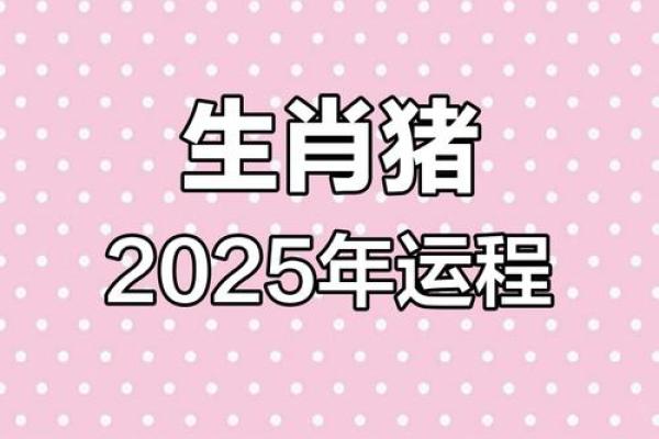 1983属猪的2025运势怎么样_2025属猪人1995的全年运势如何
