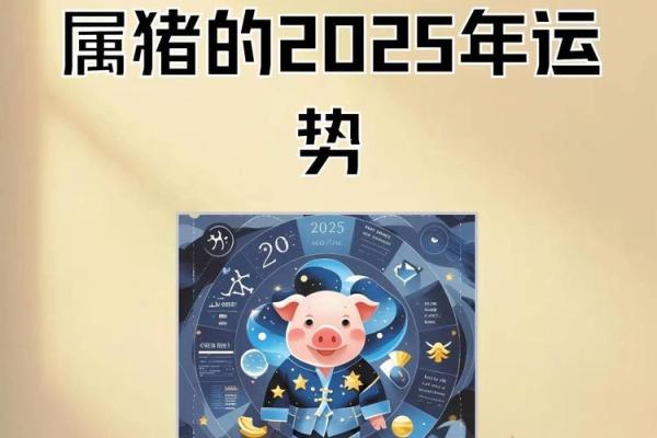 2025年1995属猪人的全年运势_2025年属猪人全年运势详解事业财运健康全解析