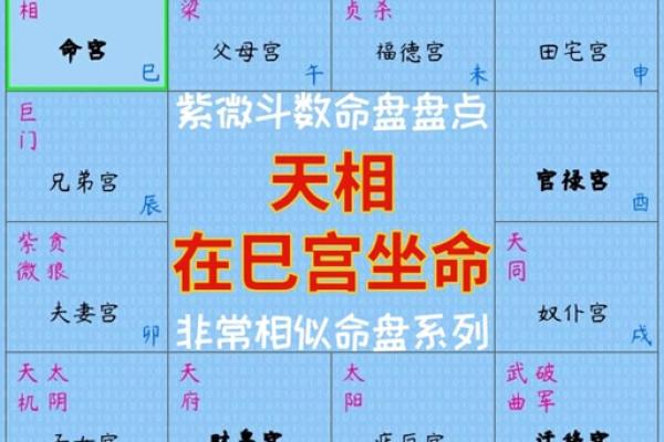 2025年3月21日丑时女命紫微斗数全解盘