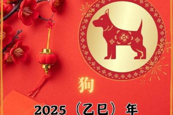 2025年属狗运势解析事业财运感情全攻略 2025年属狗运势解析事业财运感情全攻略