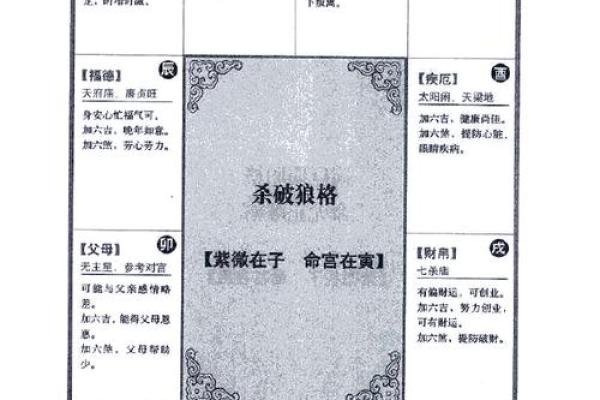 2025年2月20日丑时男命紫微斗数全解盘