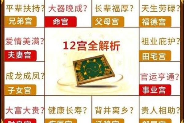 2025年2月23日子时女命紫微斗数全解盘