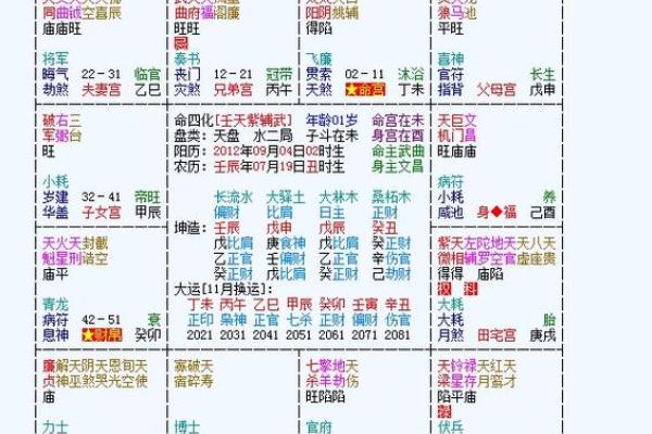2025年3月16日丑时男命紫微斗数全解盘