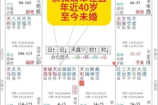2025年3月5日丑时男命紫微斗数全解盘 2025年3月5日丑时男命紫微斗数全解盘