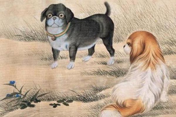 1970年属狗人一生运势如何 1970年属狗的人2021年运程十二生肖网