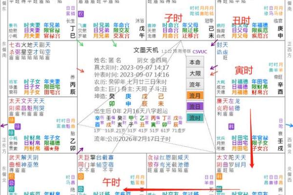 2025年3月15日子时男命紫微斗数全解盘