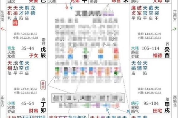 2025年3月4日子时女命紫微斗数全解盘