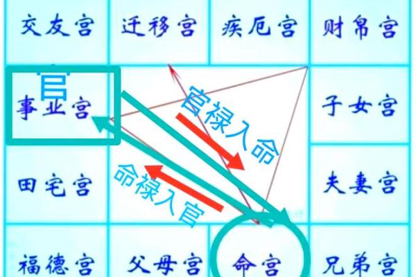 2025年2月26日寅时女命紫微斗数全解盘