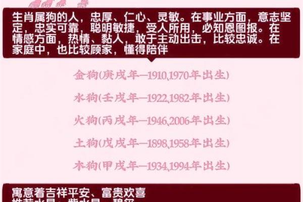 属狗年份表及年龄查询详细解析与对照表