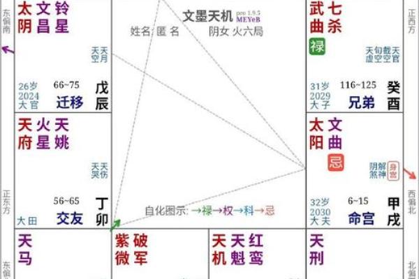 2025年2月21日寅时男命紫微斗数全解盘