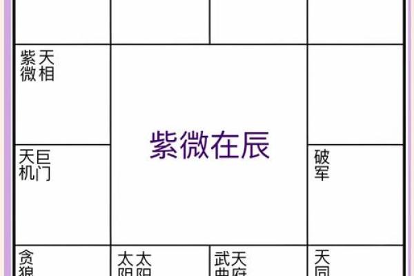 2025年3月5日寅时女命紫微斗数全解盘 2025年3月5日寅时女命紫微斗数全解盘