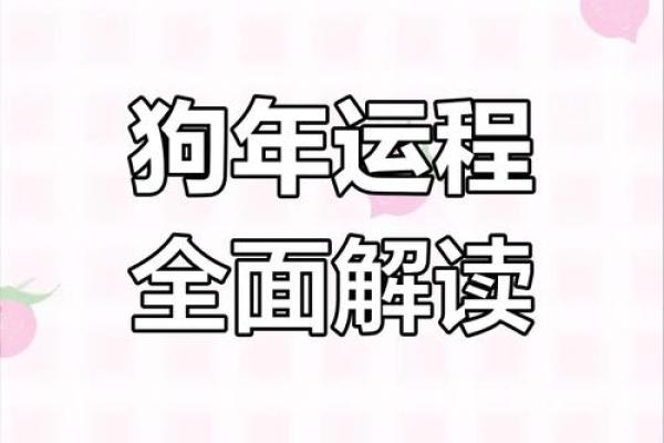属狗人2025年年龄计算及运势解析 属狗人2025年年龄计算及运势解析