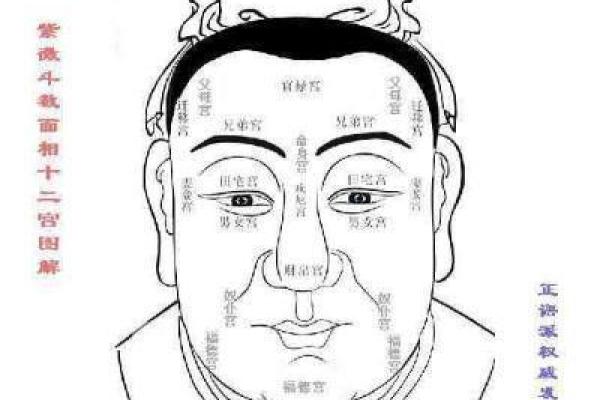 夫妻宫破相的男人命运解析与情感指南