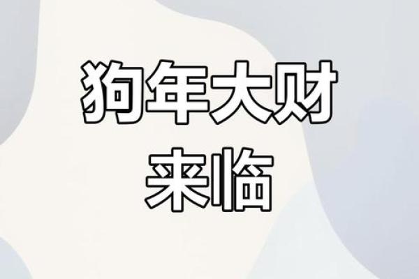 2025年属狗人运势详解82年出生者必看 2025年属狗人运势详解82年出生者必看