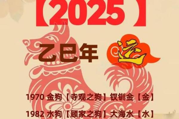 2025年属狗人运势详解82年出生者必看 2025年属狗人运势详解82年出生者必看