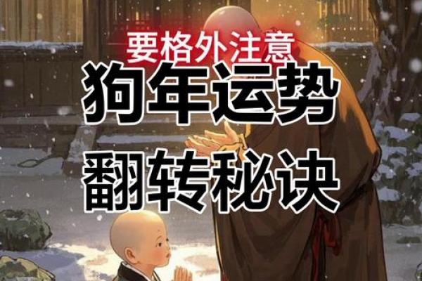 属狗女2025年全年的运势及运程 2025年属狗女1982全年运势 属狗女2025年全年的运势及运程 2025年属狗女1982全年运势