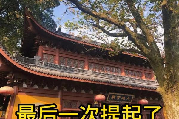 1976年属龙男人的感情_76龙男50左右婚姻危机 1976年属龙男人的感情_76龙男50左右婚姻危机