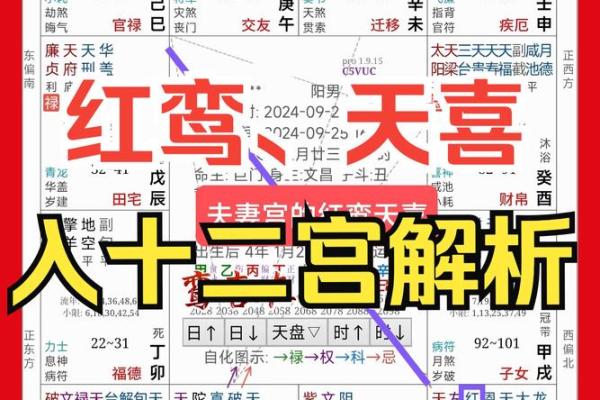 夫妻宫天魁旺_夫妻宫天魁旺揭秘婚姻幸福的风水奥秘 夫妻宫天魁旺_夫妻宫天魁旺揭秘婚姻幸福的风水奥秘