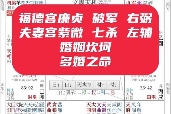 夫妻宫廉贞平 八字夫妻宫查询