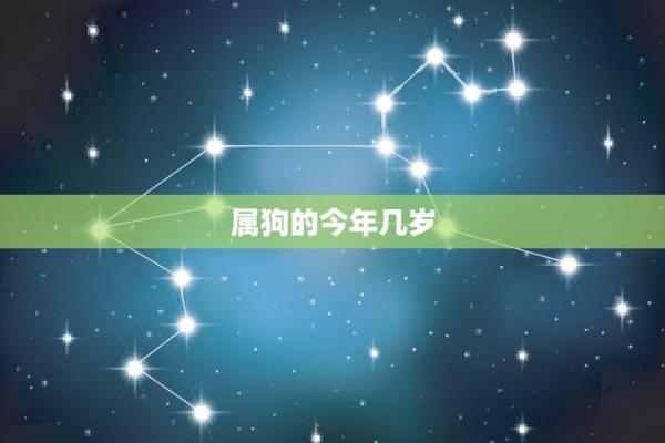 1982年属狗一生大劫年 82年属狗人42岁过七劫 1982年属狗一生大劫年 82年属狗人42岁过七劫