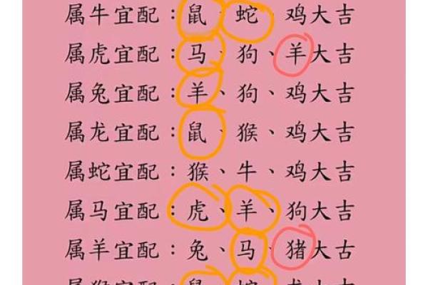 属狗和属龙相配吗_属马的和属鼠的合吗 属狗和属龙相配吗_属马的和属鼠的合吗