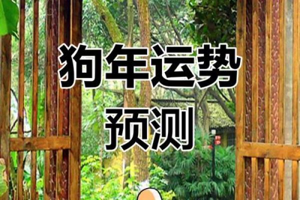 1982年属狗女2025年运势及运程_1982年属狗女2025年运势及运程每月运程 1982年属狗女2025年运势及运程_1982年属狗女2025年运势及运程每月运程