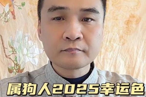 2025属狗人全年运势如何 2025年属狗人全年运势详解财运事业感情全面解析